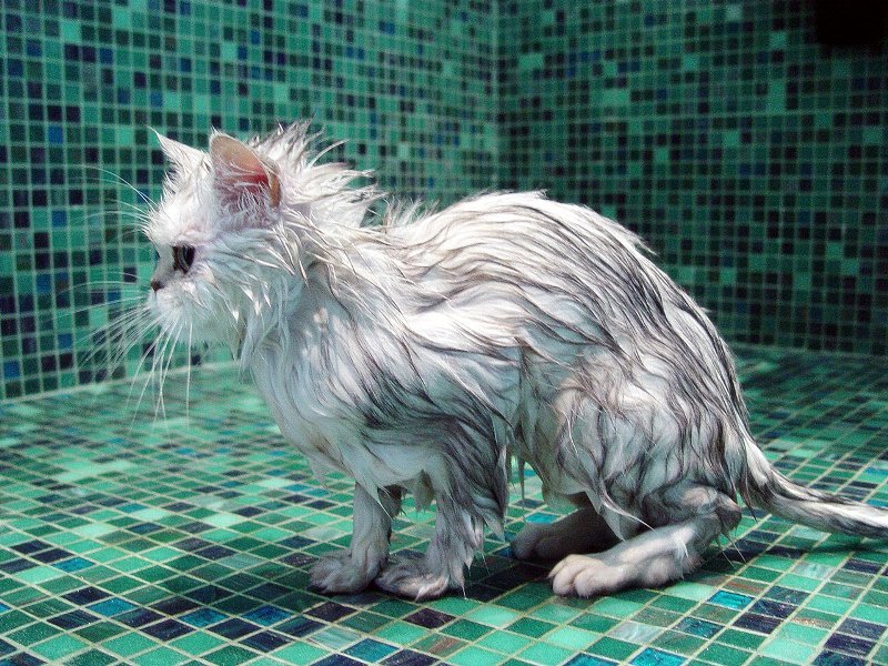 (Credito: VisualHunt)