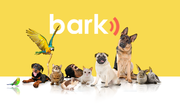 (Foto: reprodução)