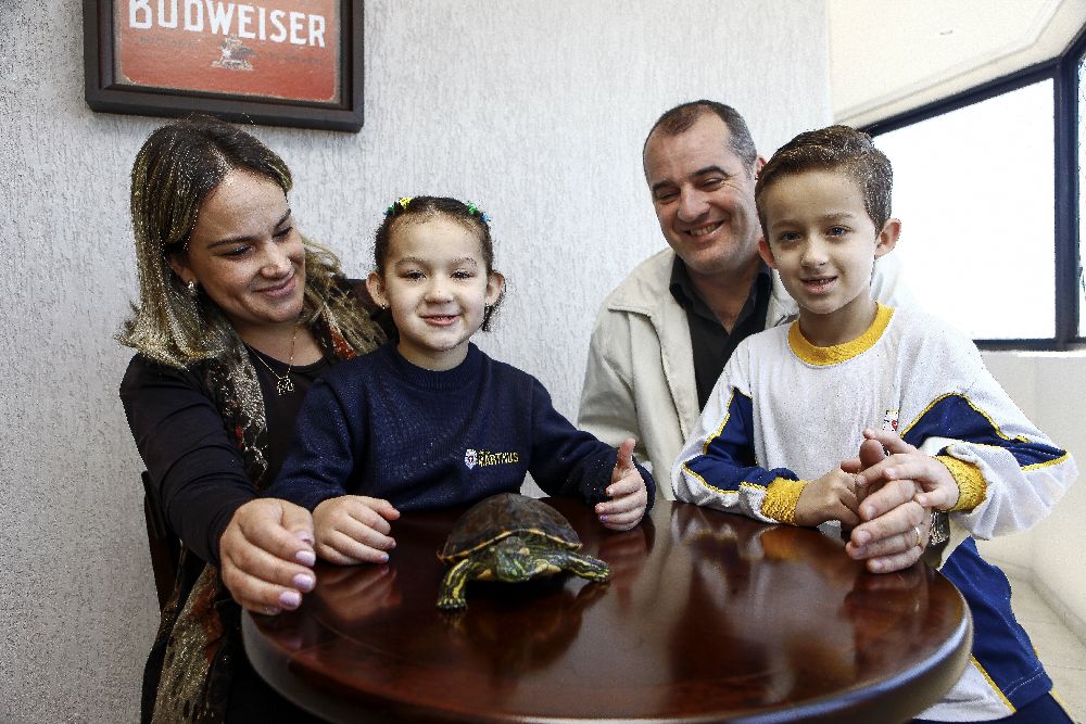 (Crédito: André Rodrigues/Gazeta do Povo)