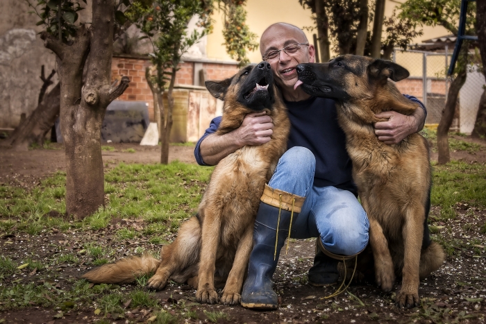 O empresário Neil Martin Kremer, com dois, dos quatro pastores que mantém em casa: 
“Minha vida com eles é muito prazerosa e me realiza plenamente”. Foto: Letícia Akemi / Gazeta do Povo