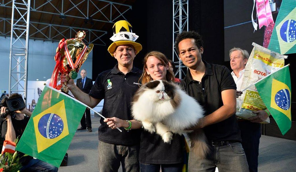 (Crédito: World Cat Show/Spadafora)