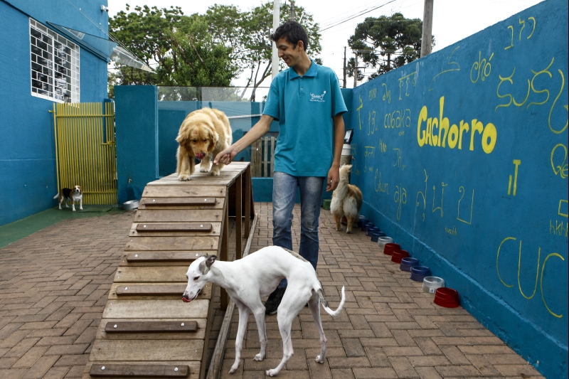 Foto: André Rodrigues/Gazeta do Povo Foto: André Rodrigues/Gazeta do Povo