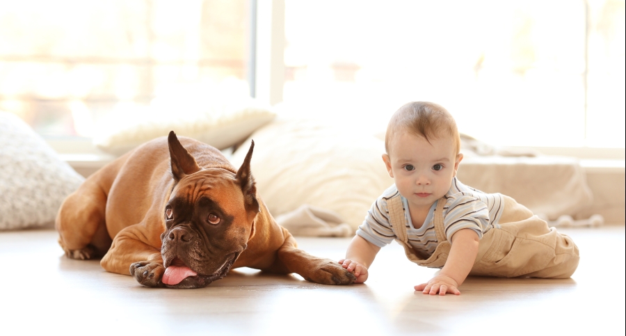 Foto: Bigstock