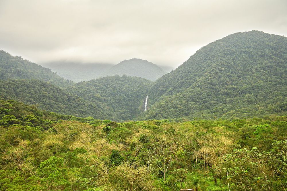 Cachoeira de 100 m de altura e árvore centenária são algumas das atrações da área de 2,2 mil hectares. Foto: Adrian Moss/divulgação