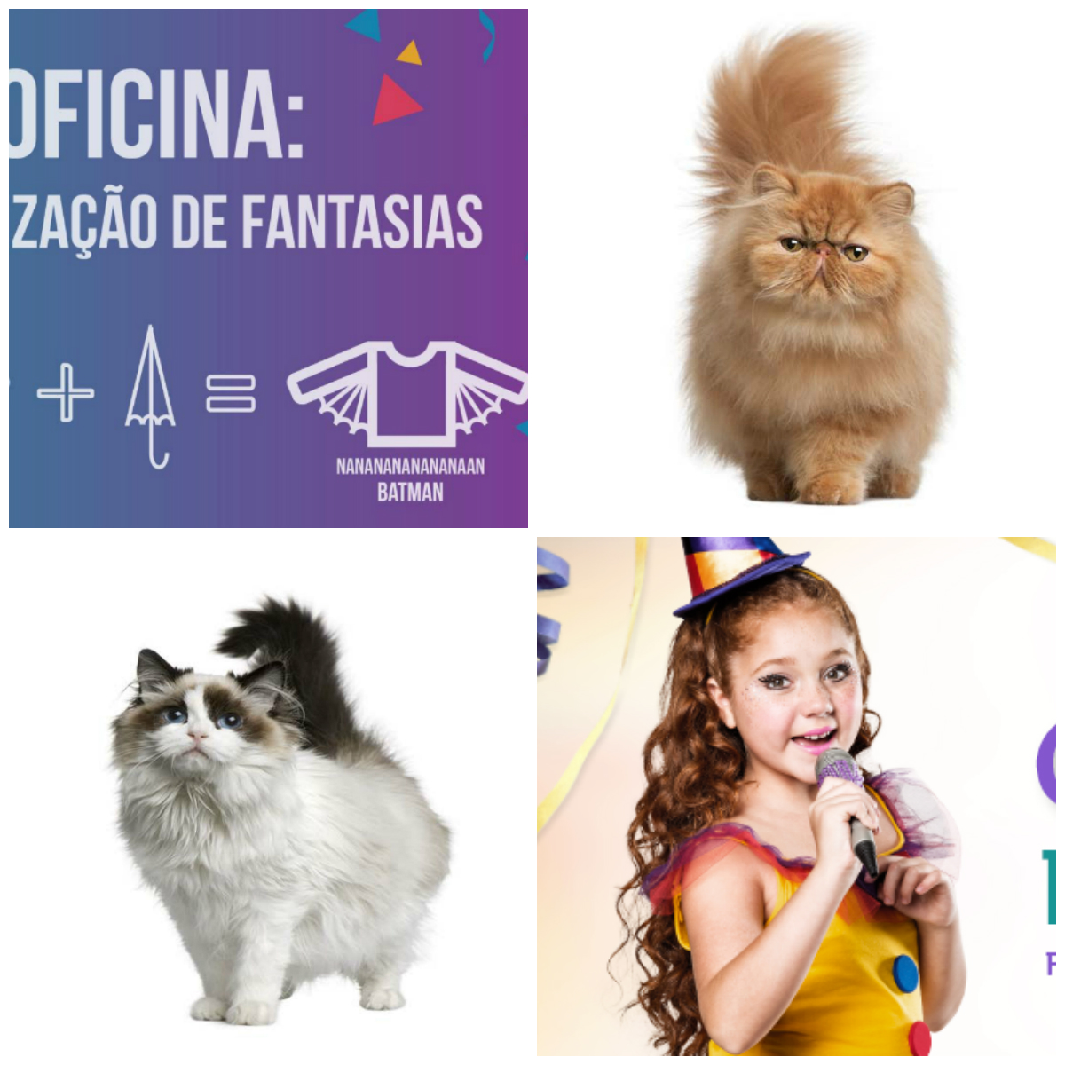 (Foto: Imagens dos eventos de fim de semana)