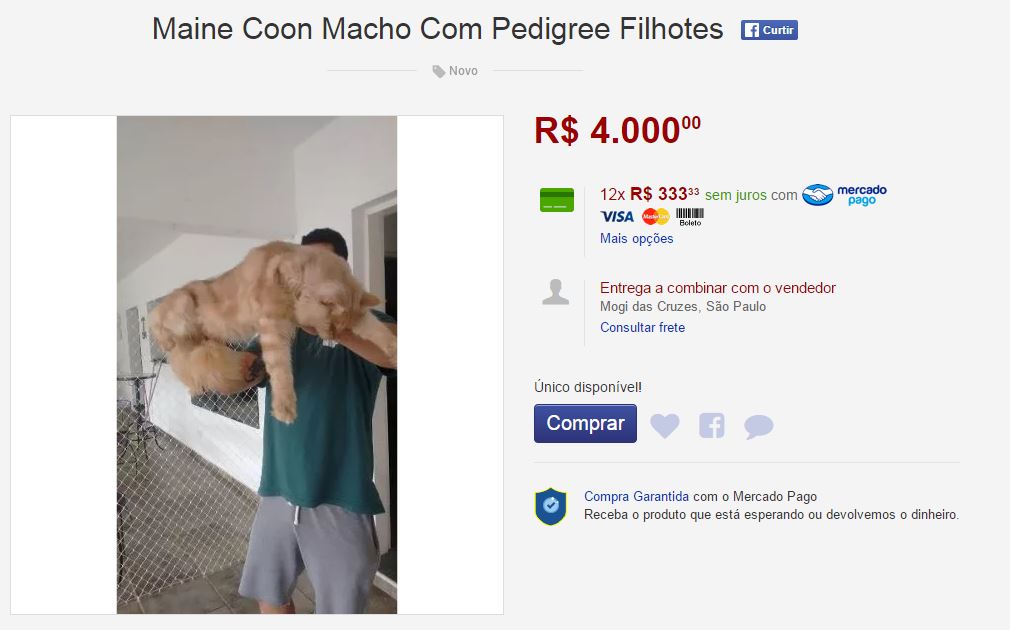 é seguro comprar cachorro no mercado livre Clearance