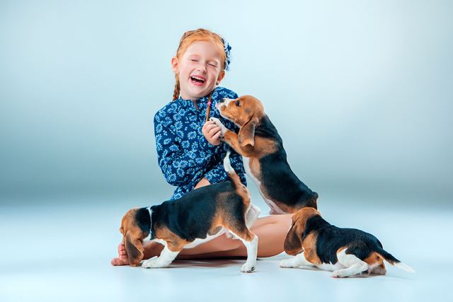 A convivência também é fator determinante no relacionamento entre cães e humanos. Foto: Bigstock