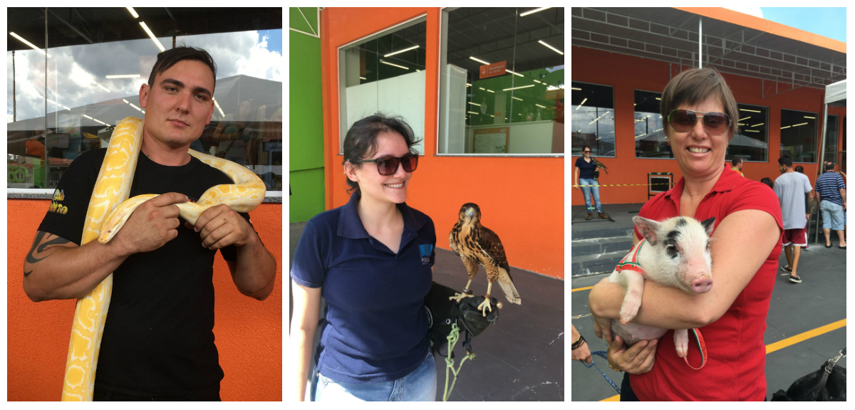 A jiboia Yokay, o gavião Fiapo e a minipig Juditi são alguns dos bichinhos que estiveram no encontro. Fotos: Mariana Domakoski/Gazeta do Povo