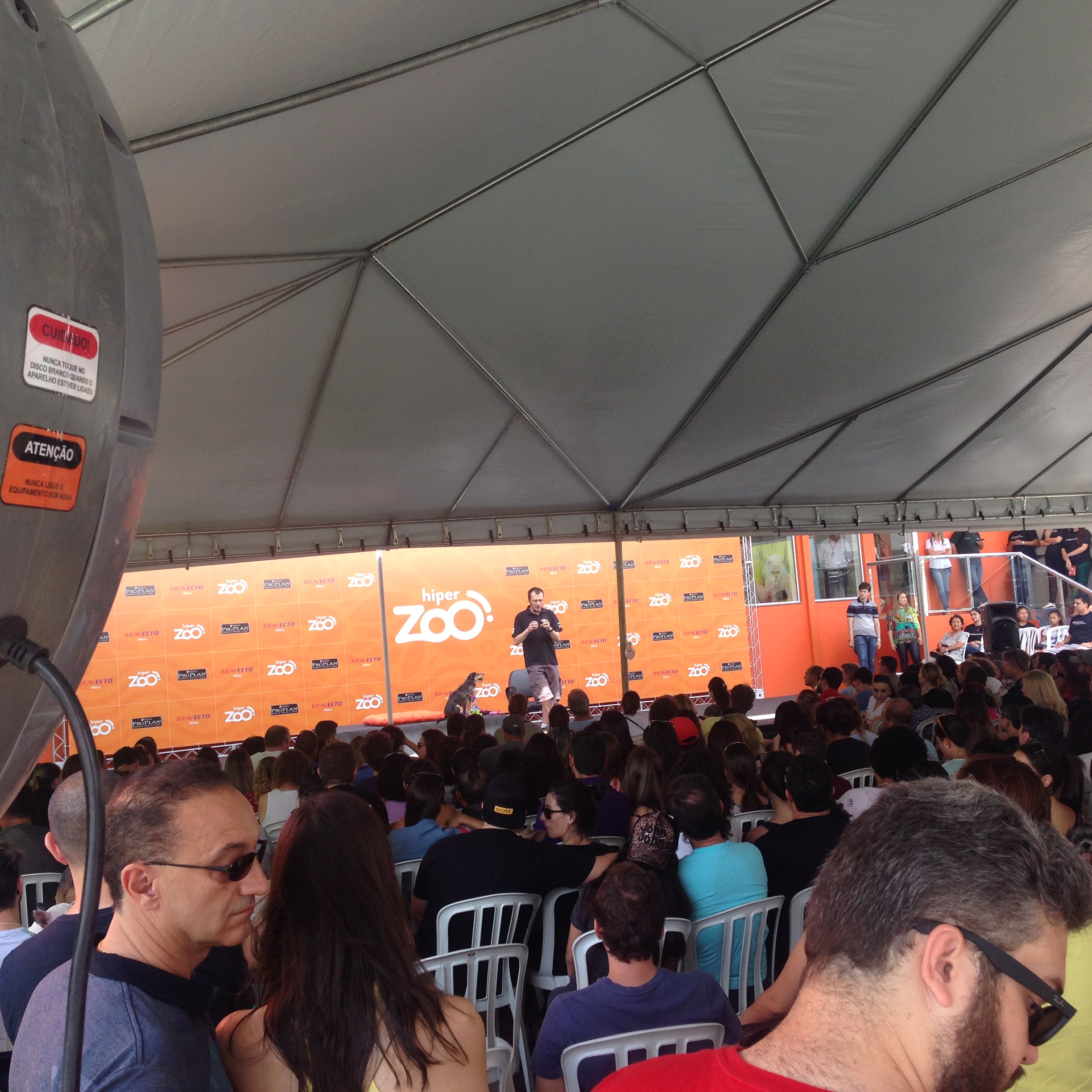 Estopinha com  o Dr. Pet. O especialista defende cuidados e mimos na medida certa para os animais. 
Foto: Divulgação 