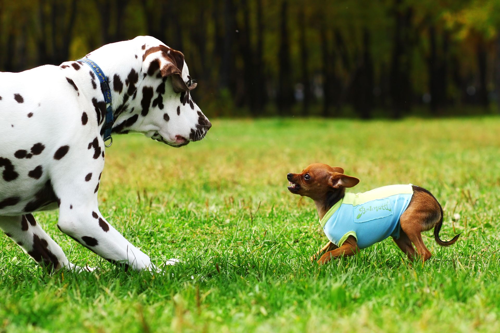 (Foto: Bigstock) (Foto: Bigstock)