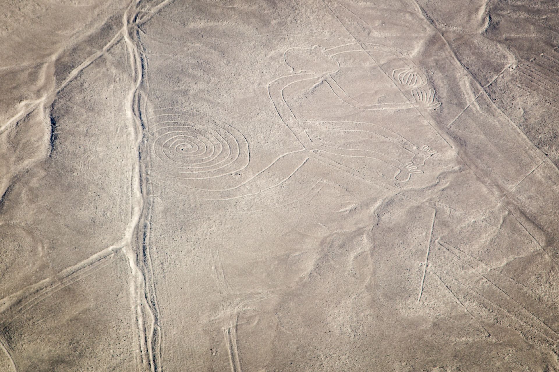 Os passageiros podem contemplar a atração mais misteriosa do Peru: as Linhas de Nazca - um conjunto de geoglifos designados, desde 1994, como Patrimônio Mundial da UNESCO.Foto: Bigstock Os passageiros podem contemplar a atração mais misteriosa do Peru: as Linhas de Nazca - um conjunto de geoglifos designados, desde 1994, como Patrimônio Mundial da UNESCO.Foto: Bigstock