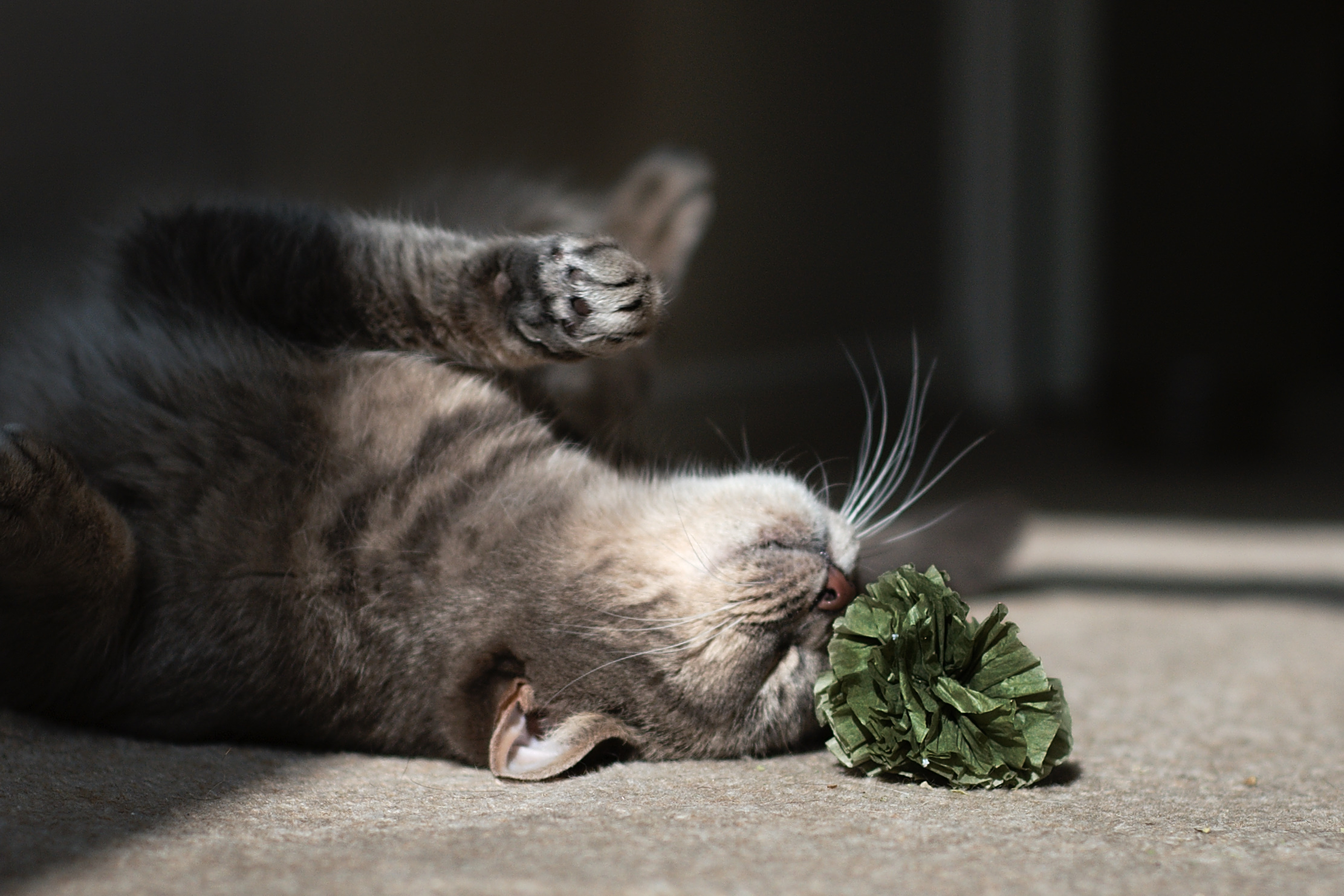 Foto: FurLined via Visual Hunt Foto: FurLined via Visual Hunt