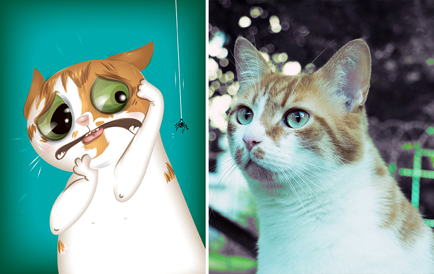 Rubi, a gata que morre de medo de aranhas.