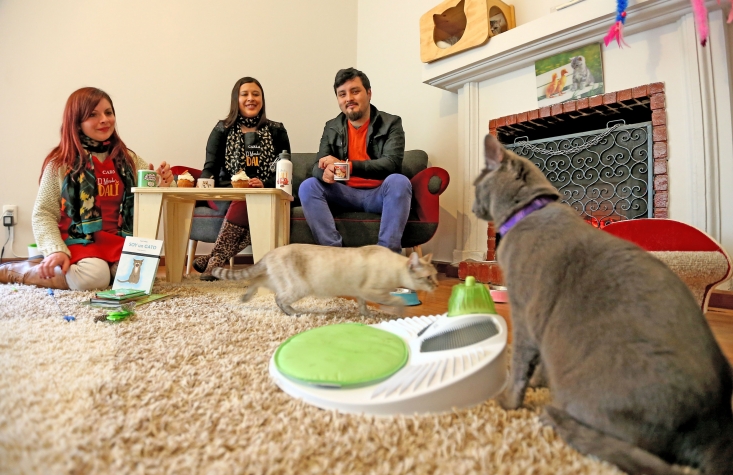 El Mundo de Dali é um café para amantes de gatos, em Santiago. Foto: Site Oficial El Mundo de Dali El Mundo de Dali é um café para amantes de gatos, em Santiago. Foto: Site Oficial El Mundo de Dali