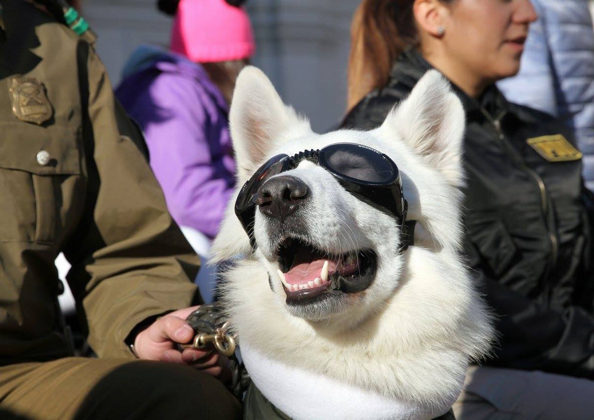 Foto: @carabdechile / Twitter