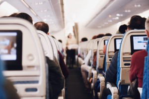 Barulho no avião: veja 5 cargas estranhas que podem ter viajado com você Foto: Visualhunt