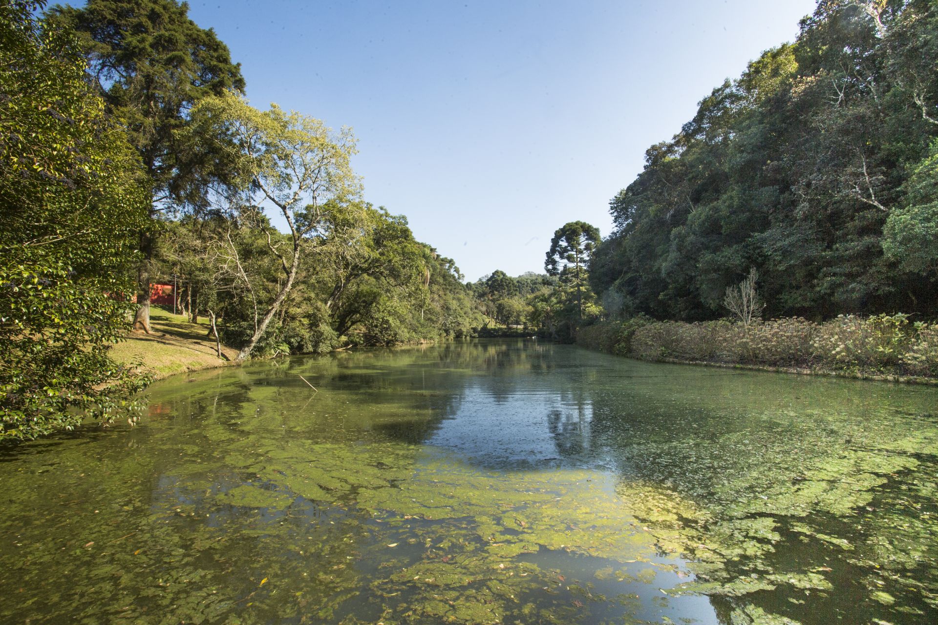 Parque da Barreirinha possui três lagos de águas nascentes. (Fotos: Hugo Harada/Gazeta do Povo)
