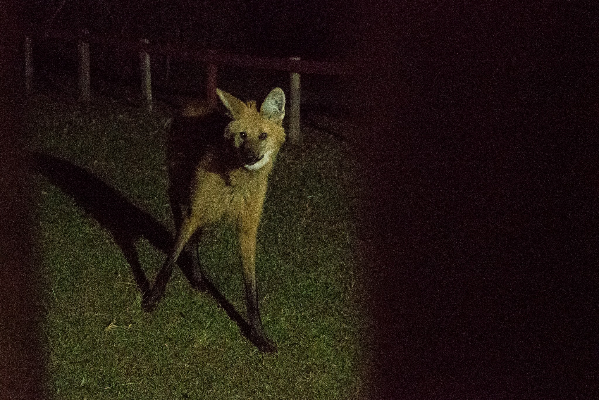 Foto: Mauricio Pereira/Acervo pessoal
