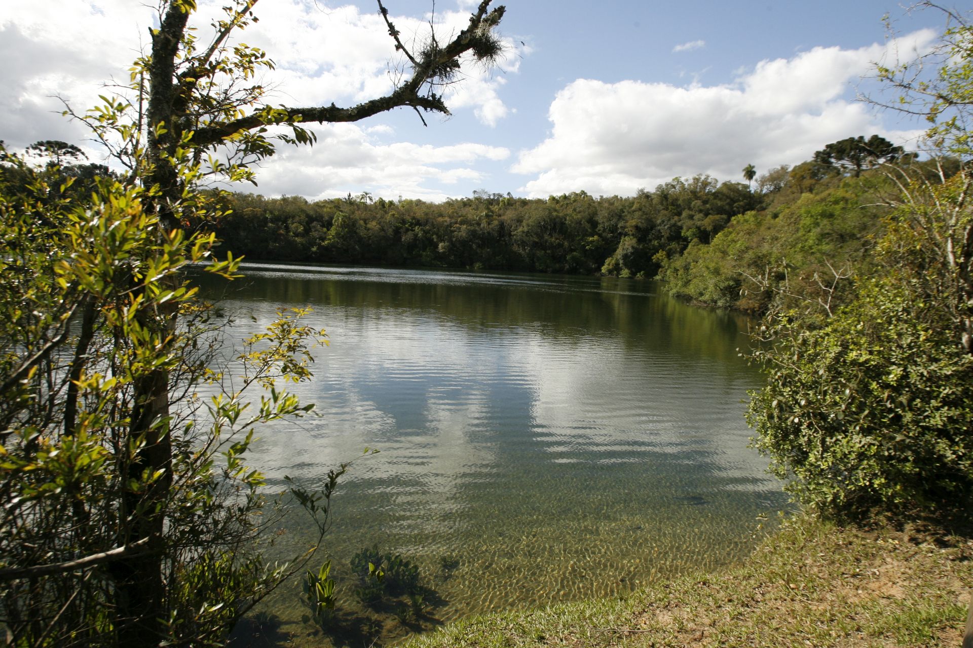 A Lagoa Dourada: nome veio por causa da cor com reflexo do sol. Foto: Josué Teixeira/Gazeta do Povo. A Lagoa Dourada: nome veio por causa da cor com reflexo do sol. Foto: Josué Teixeira/Gazeta do Povo.