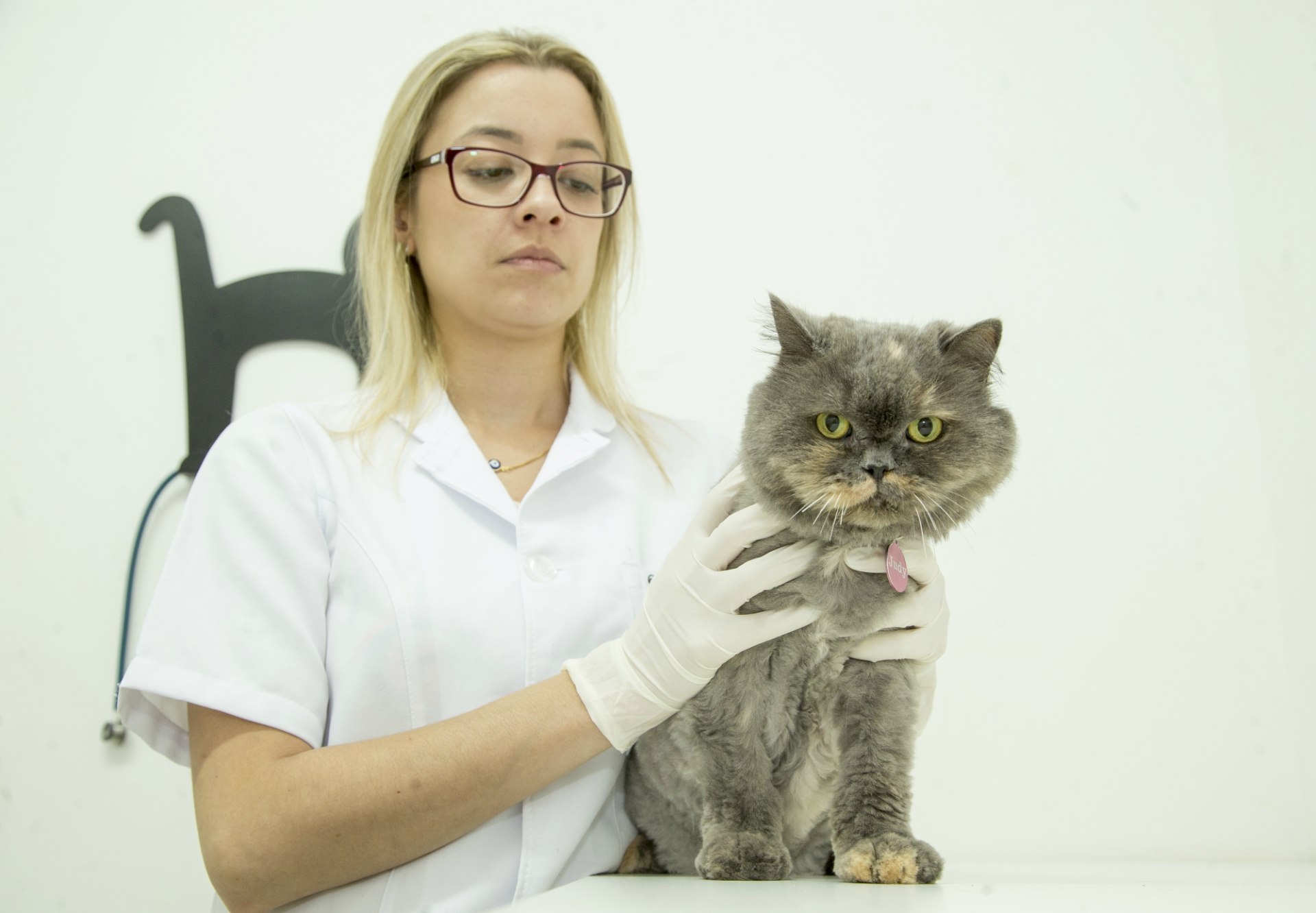 Melhor saída é "forçar" o comprimido, ou tentar outras formulações. Foto: Hugo Harada / Gazeta do Povo.