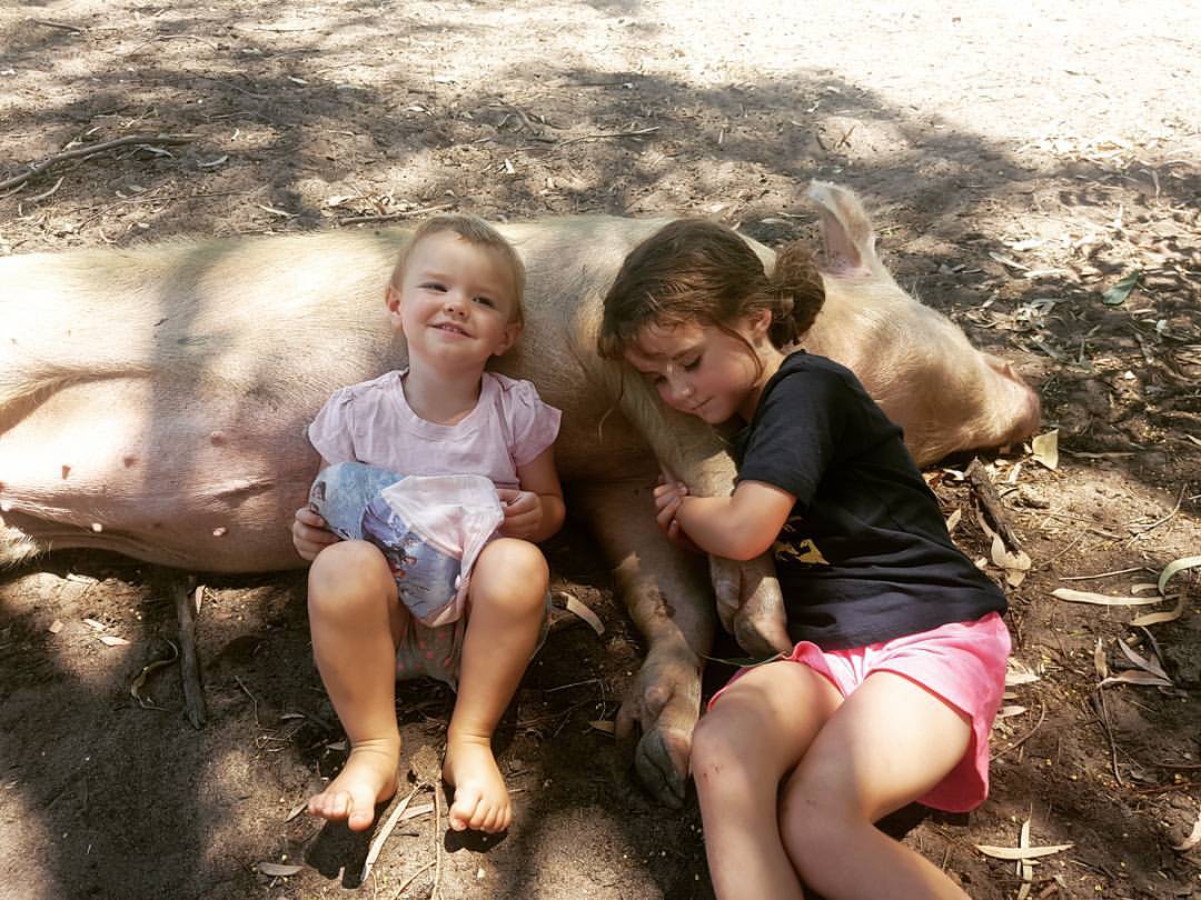 Aurora e Phoenix abraçam a porquinha que saltou de um caminhão em movimento, no final de 2016. Foto: Reprodução/Facebook