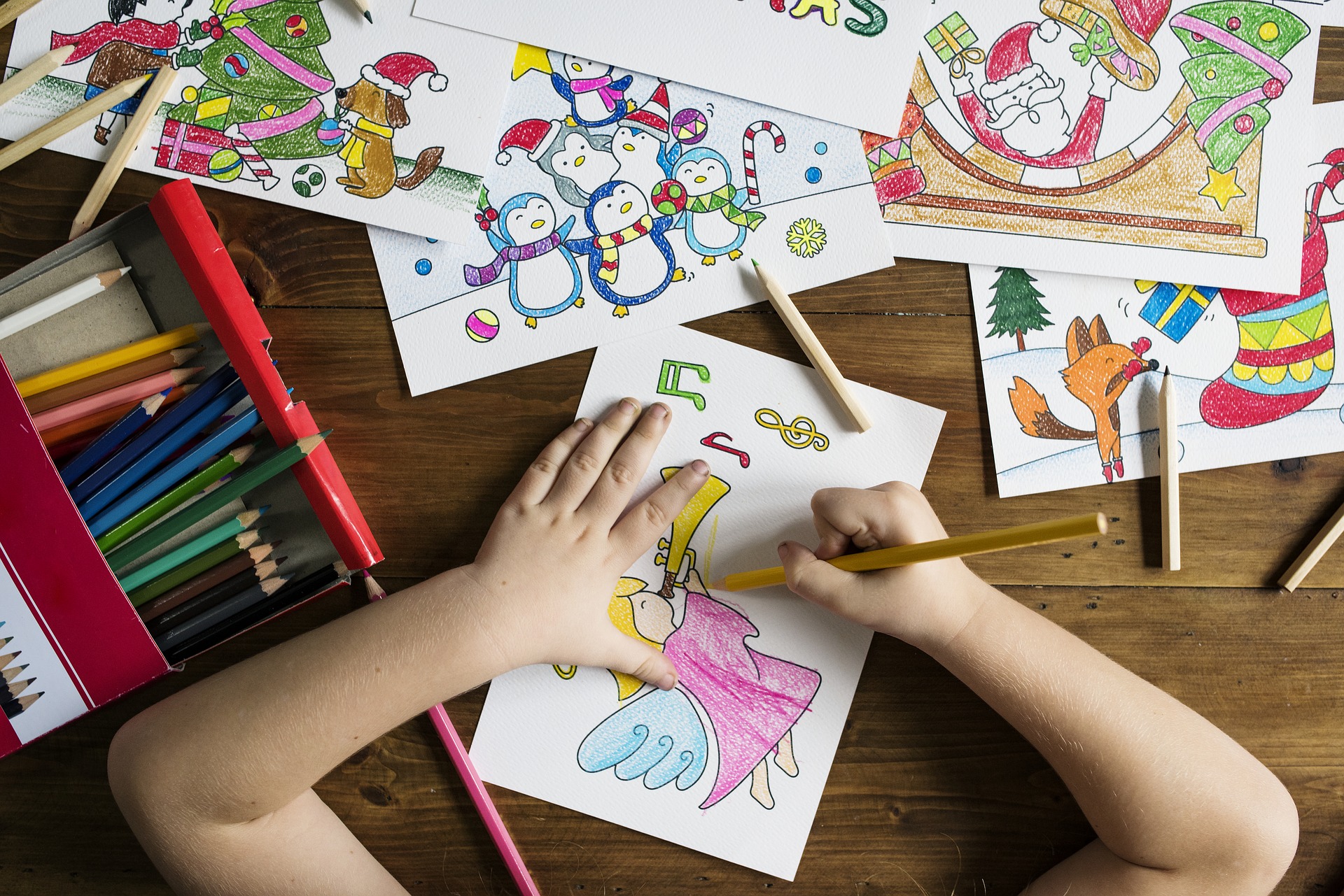 Uma das dicas para voltar às aulas sem dificuldades é manter todo o material escolar organizado. Foto: Divulgação. Uma das dicas para voltar às aulas sem dificuldades é manter todo o material escolar organizado. Foto: Divulgação.