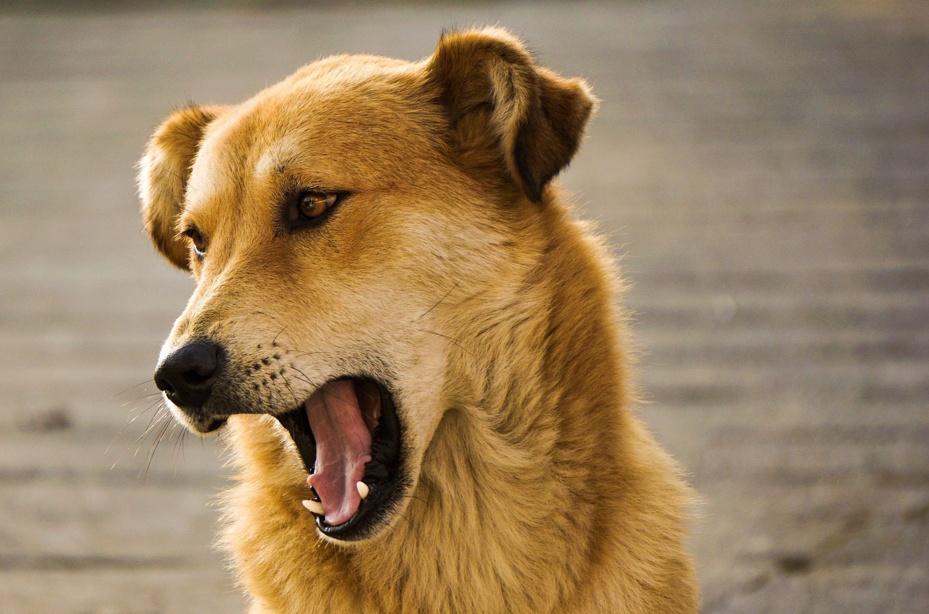 Foto: Akshay Madan / Unsplash Foto: Akshay Madan / Unsplash