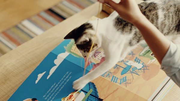Obra interativa é o primeiro livro do mundo para ler com gatos Foto: Divulgação