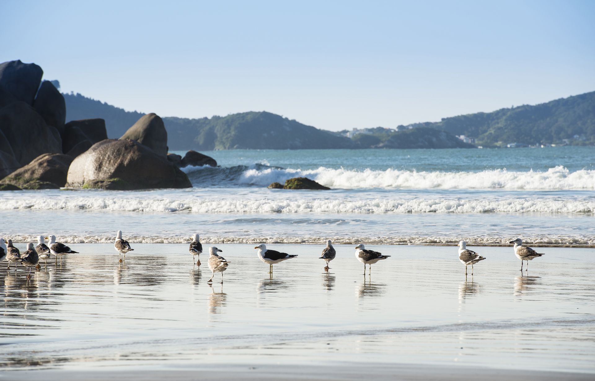 Praia da Conceição, em Bombinhas, Santa Catarina. Foto: Letícia Akemi / Gazeta do Povo