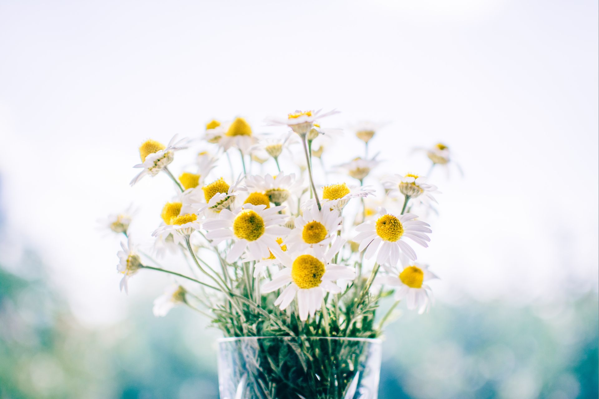 Foto: Rodion Kutsaev / Unsplash Foto: Rodion Kutsaev / Unsplash