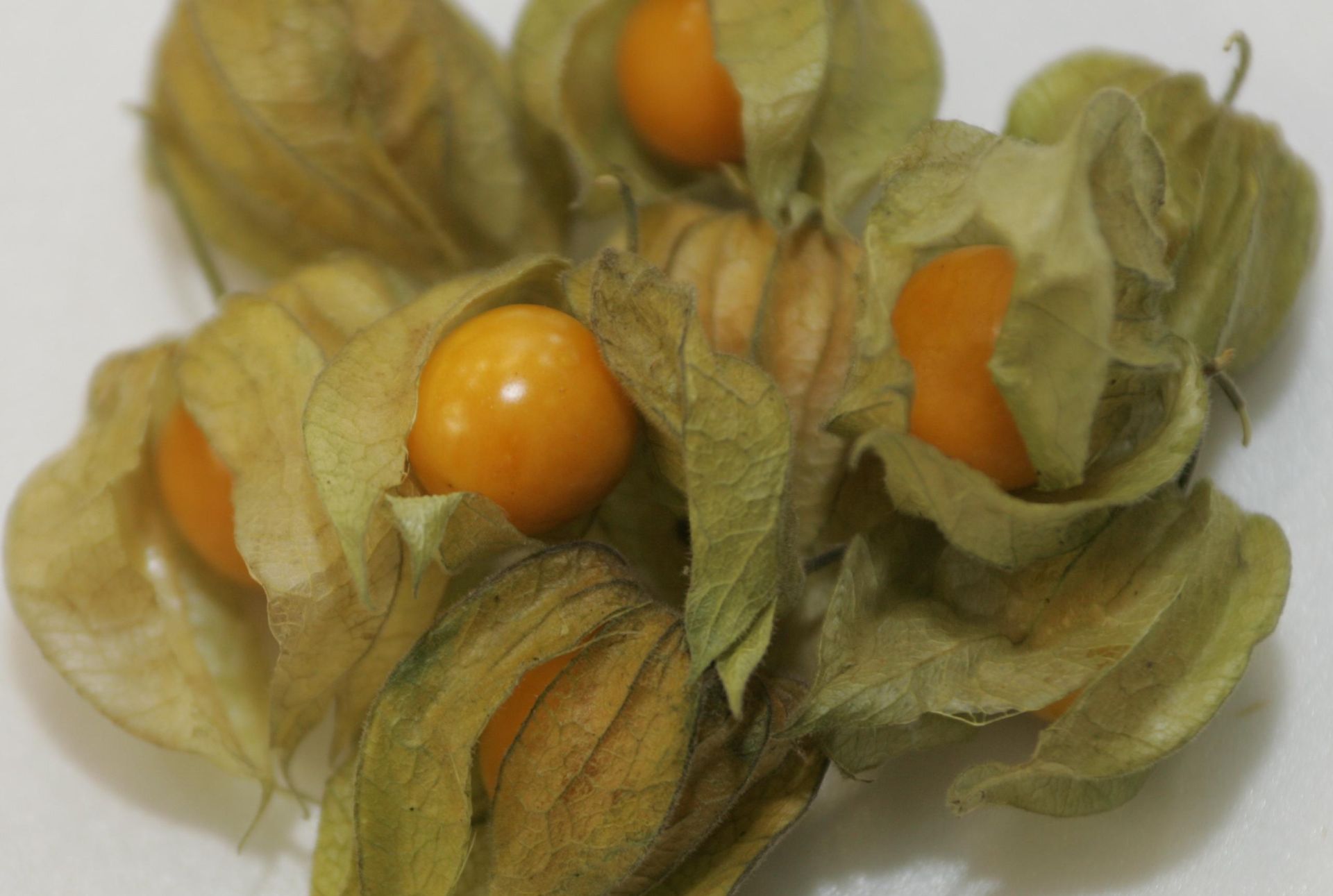 Physalis, conhecida também por golden berry, é uma opção para quem deseja emagrecer (Foto: Aniele Nascimento / Gazeta do Povo / arquivo)