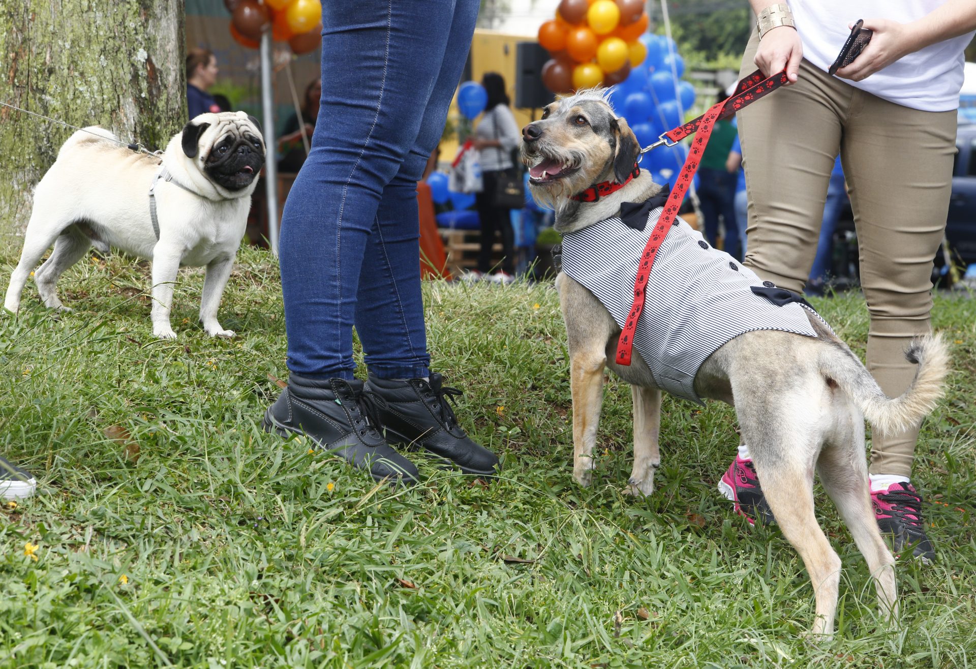 José Rico, um dos 20 finalistas, ficou na 4ª colocação. Foto: Aniele Nascimento/Gazeta do Povo. 