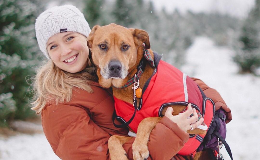 O cão Oakley é treinado para auxiliar a jovem Amber em momentos de crise de pânico. Reprodução/Facebook 