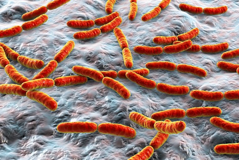 Normalizar a flora intestinal pode ajudar a reduzir doenças, inclusive a depressão. Foto: Bigstock.