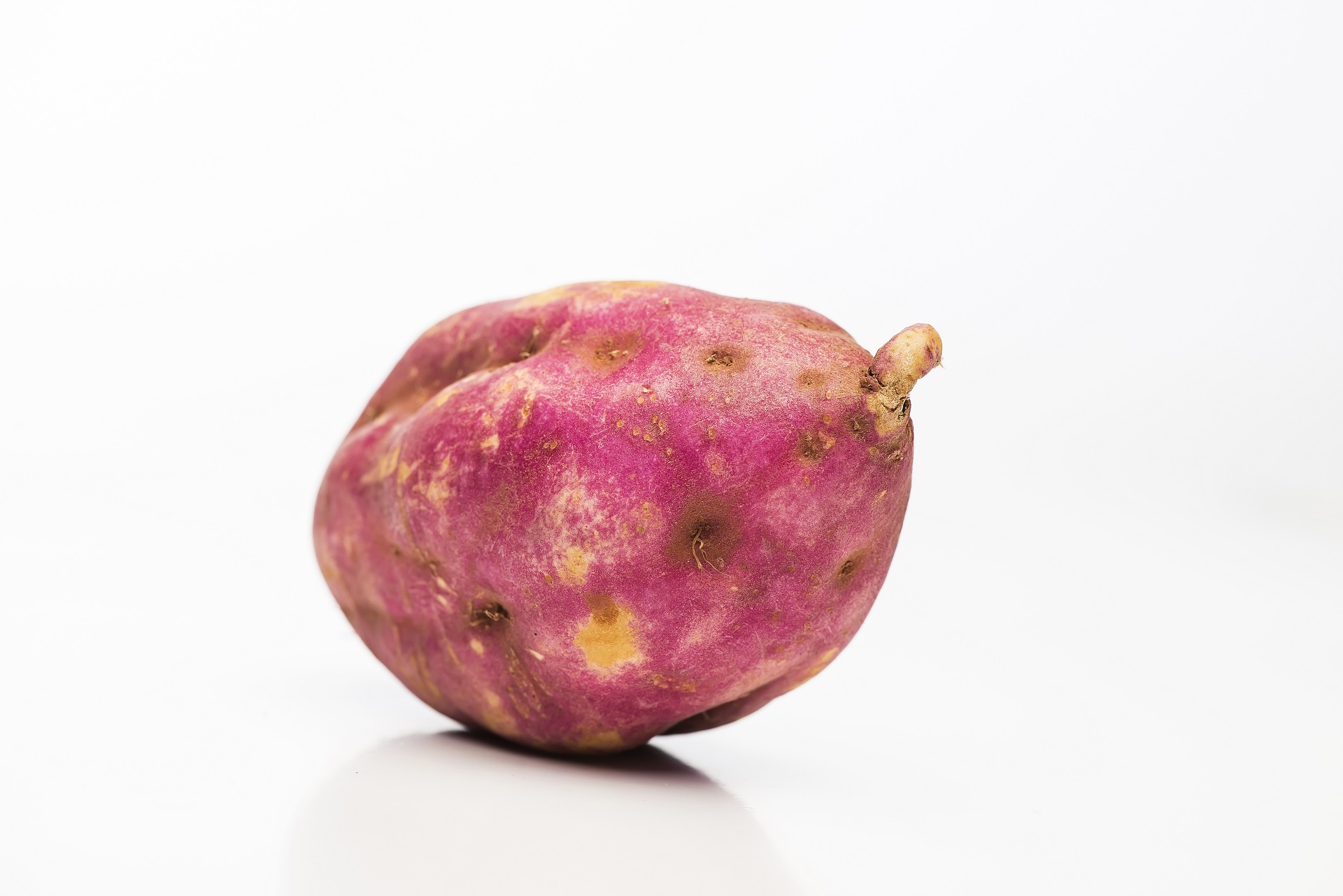 A batata doce pode ser encontrada em diversas cores, mas a roxa é a sua versão mais completa. Somente na casca há inúmeros minerais e vitaminas que funcionam como antioxidantes poderosos, como a antocianina e o betacaroteno. Foto: Bigstock. A batata doce pode ser encontrada em diversas cores, mas a roxa é a sua versão mais completa. Somente na casca há inúmeros minerais e vitaminas que funcionam como antioxidantes poderosos, como a antocianina e o betacaroteno. Foto: Bigstock.