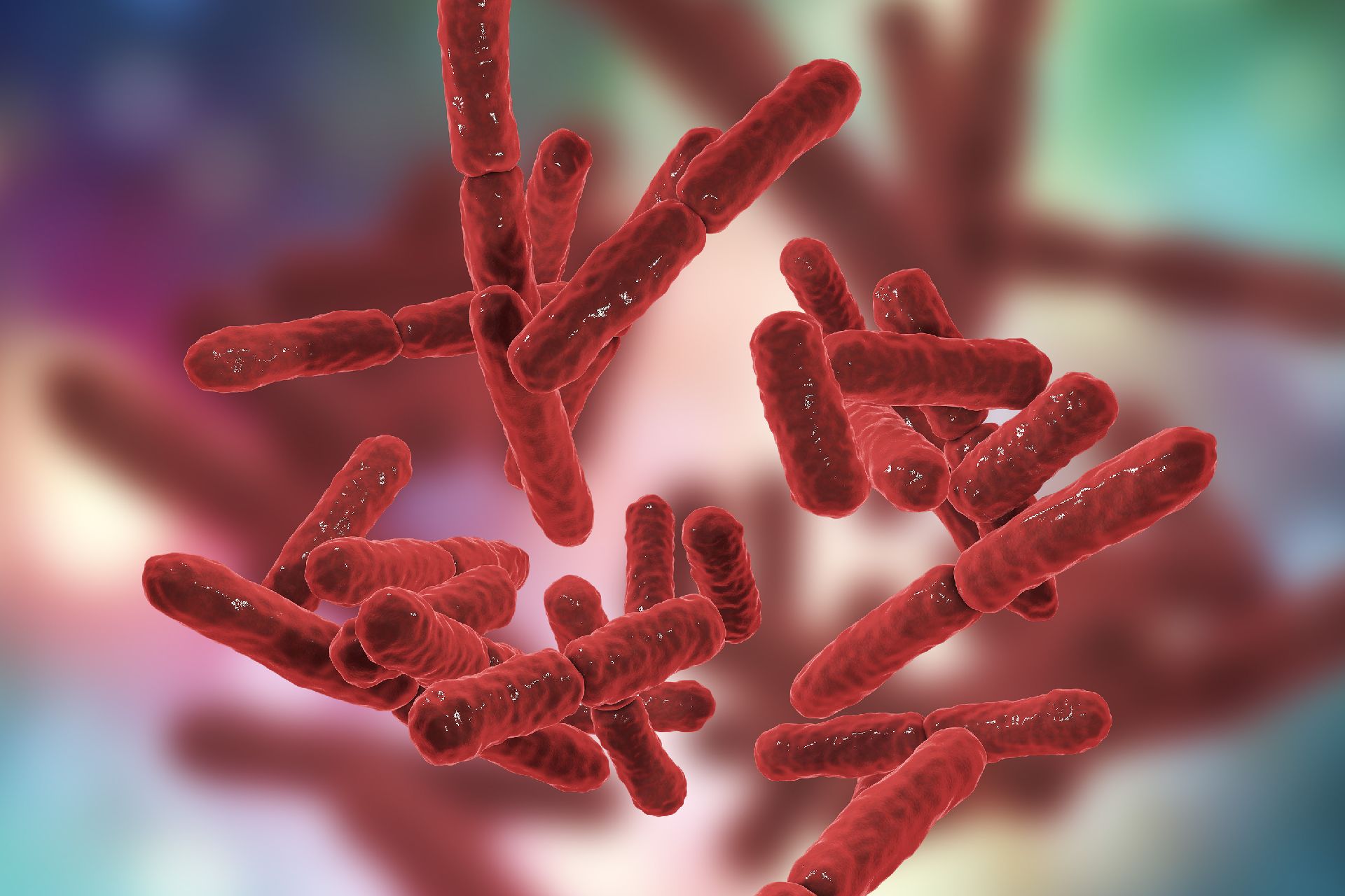 Além do potencial de diagnóstico, o modelo apresentado poderia também ajudar na prevenção do câncer colorretal. Se essas bactérias começarem a aparecer no exame, seria possível intervir para tentar mudar a microbiota. Foto: Bigstock Além do potencial de diagnóstico, o modelo apresentado poderia também ajudar na prevenção do câncer colorretal. Se essas bactérias começarem a aparecer no exame, seria possível intervir para tentar mudar a microbiota. Foto: Bigstock