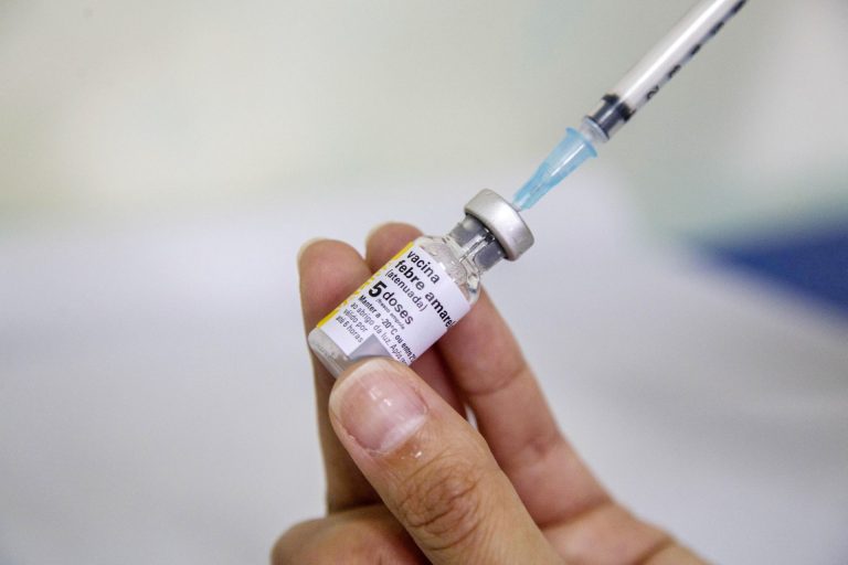 Pesquisadores brasileiros descobrem que vacina contra a febre amarela também pode ter ação contra o Zika vírus (Foto: Valdecir Galor/SMCS)