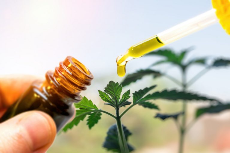 Vários trabalhos mostram efeitos positivos do canabidiol para reduzir a compulsão, melhorar a insônia e a ansiedade. Foto: Bigstock.