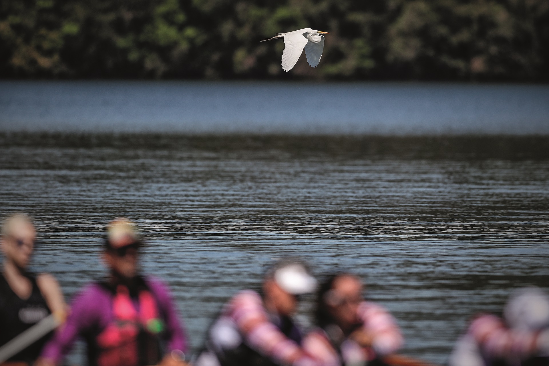 Por enquanto, a equipe, batizada de Canohá Dragon Team Curitiba, conta com dez integrantes - são necessárias 20 mulheres para ocupar os dois lados do barco, além do tambor e o leme. Foto: Divulgação. Por enquanto, a equipe, batizada de Canohá Dragon Team Curitiba, conta com dez integrantes - são necessárias 20 mulheres para ocupar os dois lados do barco, além do tambor e o leme. Foto: Divulgação.