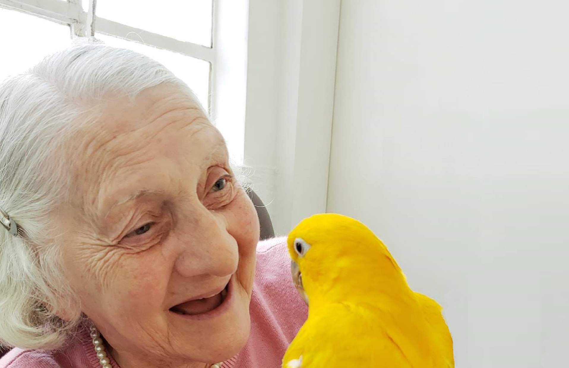 Por meio do tato e da interação com o humano, os animais geram vantagens físicas, emocionais e aceleram processos de recuperação. Foto: Acervo Pet Terapeuta.