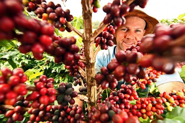 Albari Rosa/ Gazeta do Povo