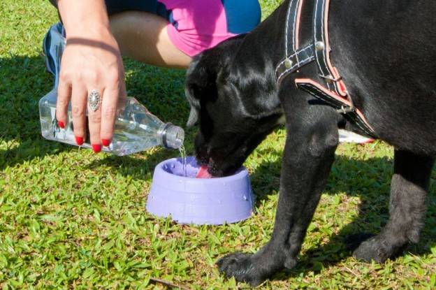Letícia Akemi / Gazeta do Povo