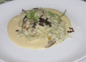 Risotto di funghi con fundue di formagio 2
