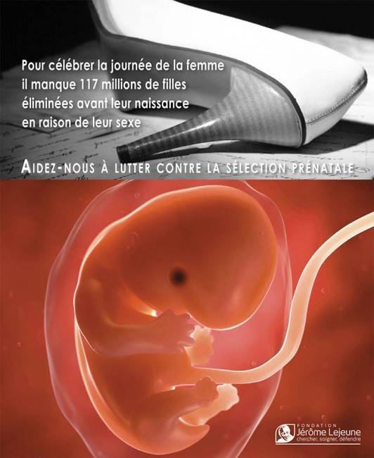 1184836_598013490284478_1302172453_n