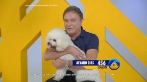 Alvaro Hugo Henrique