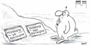 Decifrando o guatambu