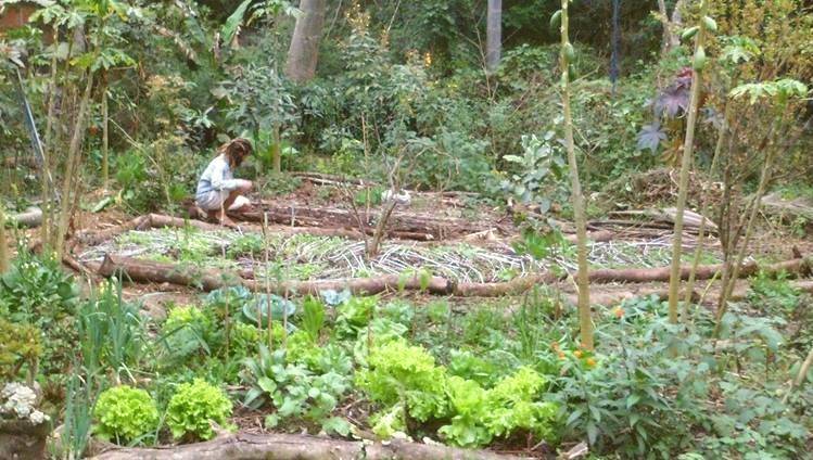 Imagem do corpo da matéria