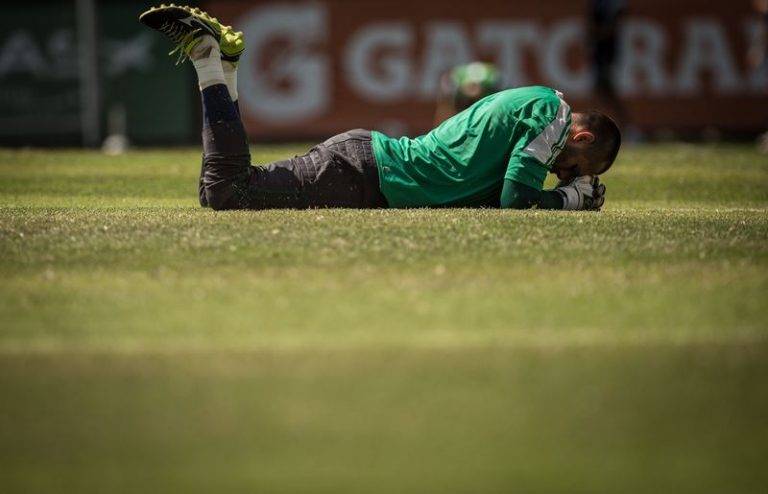 Fã de Bolsonaro, ex-Palmeiras diz que ‘professora não foi agredida injustamente’ Fã de Bolsonaro, ex-Palmeiras diz que 'professora não foi agredida injustamente'