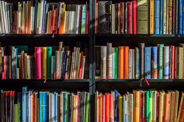 Agora querem banir livros: conservadores no RS pedem retirada de “obras de mau gosto” de bibliotecas