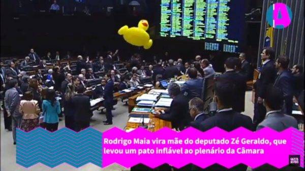 Rodrigo Maia chama segurança para tirar pato inflável do plenário – VÍDEO